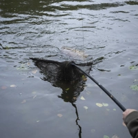 Fox Lever-lok Landing Nets